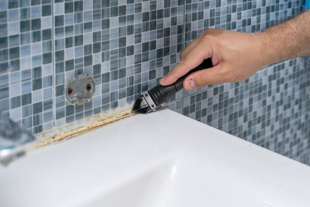 Best Mold Remediation for Specific Building Types in Harahan, LA
